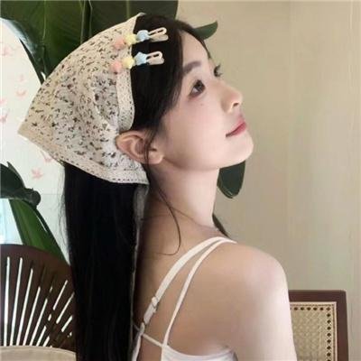 追捕刺客